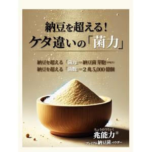 あらびきタイプ 国産 粉末なっとう 100g ...の詳細画像2