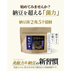 あらびきタイプ 国産 粉末なっとう 100g ...の詳細画像4