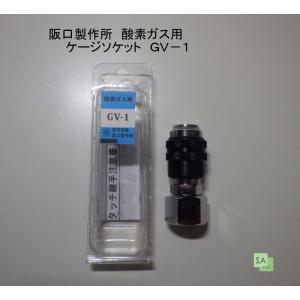 阪口製作所　酸素ガス用　サンロック　GV-1　ゲージソケット｜SA-net