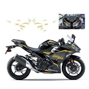 Kawasaki Ninja 400対応バイクステッカー、グラフィックキットステッカーモノクロデカール装飾用アクセサリー｜saharacanvas