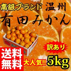 みかん　訳あり　５kg　送料無料　有田みかん　ありたみかん　人気　規格外　柑橘類　お歳暮　ギフト　温州みかん　夢姫