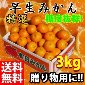 みかん　3kg　ギフト　お歳暮　贈り物　贈与品　有田みかん　早生みかん　送料無料