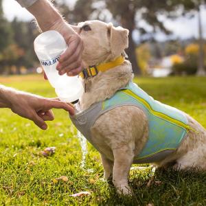 RUFFWEAR（ラフウェア）スワンプクーラージップベスト : ドッググッズ