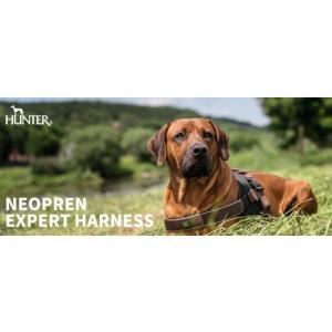 Hunter Hunter 犬用首輪 ハーネス リード の商品一覧 犬用品 ペット用品 生き物 通販 Yahoo ショッピング