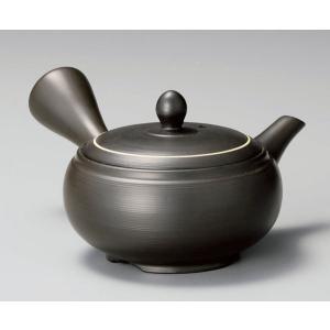 急須 きゅうす 常滑焼 深蒸し急須 270cc さわやか Y909| おしゃれ 深