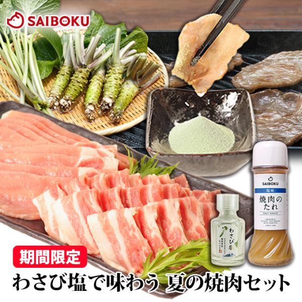 ギフト 敬老の日 内祝い 詰め合わせ わさび塩で味わう 夏の焼肉セット 送料無料 ロース バラ タレ...
