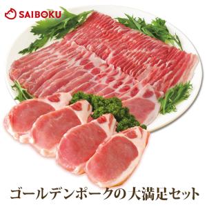 お歳暮 ギフト 御歳暮 内祝い 詰め合わせ 肉  57GA