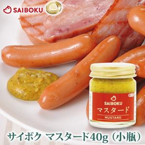 お歳暮 ギフト 御歳暮 内祝い マスタード　1本40g （小瓶）