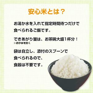 アルファー食品 安心米 しょうがご飯(玄米入り...の詳細画像2