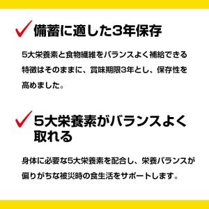 非常食 保存食 大塚製薬 カロリーメイト ロン...の詳細画像2