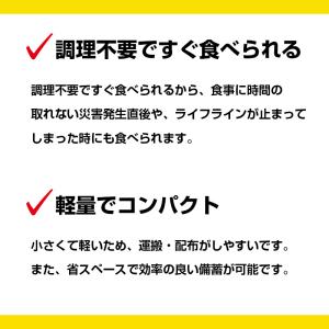 非常食 保存食 大塚製薬 カロリーメイト ロン...の詳細画像3
