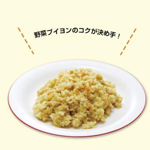 The Next Dekade 7年保存レトル...の詳細画像1
