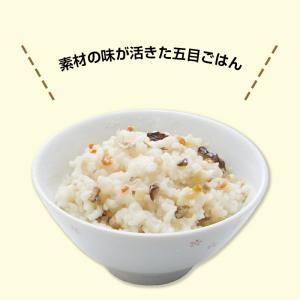 The Next Dekade 7年保存レトル...の詳細画像1