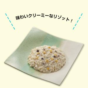 The Next Dekade 7年保存レトル...の詳細画像1