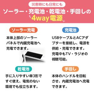 innowa buddy Max ソーラー充電...の詳細画像1