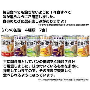 非常食 7日間基本セット 5年保存 非常食セッ...の詳細画像4