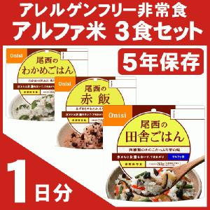 非常食 5年保存 非常食セット アレルギー対応非常食セット1日分｜saibou