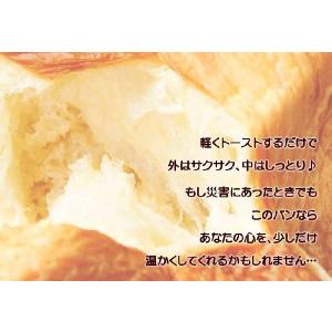 非常食 保存食 缶deボローニャ パンの缶詰の詳細画像5