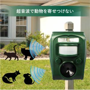 【公式】 SaiEL 超音波害獣撃退器 ソーラ...の詳細画像2