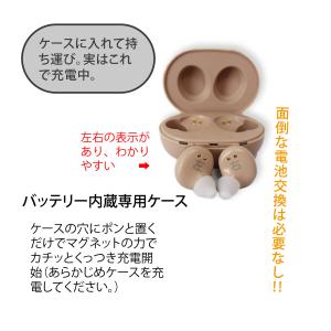 【未使用 箱潰れ 箱汚れ】 サイエル 充電式両...の詳細画像2