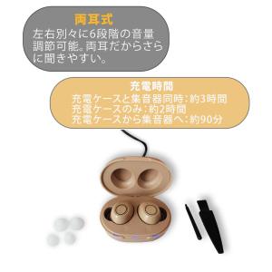 【未使用 箱潰れ 箱汚れ】 サイエル 充電式両...の詳細画像3