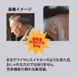【未使用 箱潰れ 箱汚れ】 サイエル 充電式両...の詳細画像4