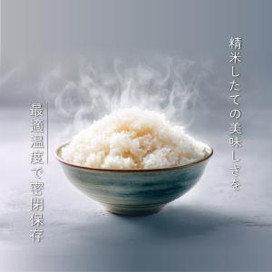 【公式】 SaiEL 保冷米びつ 10kg 2...の詳細画像2