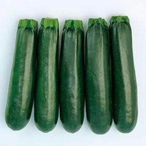 ズッキーニの種 ゼルダ・ネロ 100粒 ( 野菜の種 )