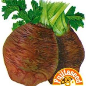 多年草とは 根菜 豆類 もやしの種 の商品一覧 種 種子 花 ガーデニング 通販 Yahoo ショッピング