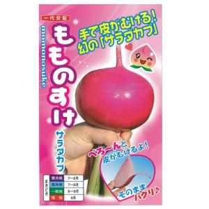 カブの種 もものすけ 小袋（約1ml） 小袋 ( 野菜の種 )