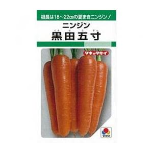 人参の種 黒田五寸 1L缶 ( 野菜の種 )
