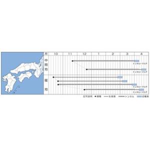 大根の種 初神楽 小袋(4ml) ( 野菜の種 )の詳細画像1