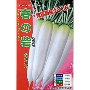 ダイコンの種 春の砦 小袋 ( 野菜の種 )