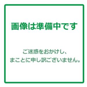 人参の種 キャロッテ レッド (コート) 小袋 ...の商品画像