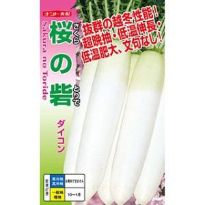 ダイコンの種 桜の砦 8000粒 ( 野菜の種 )