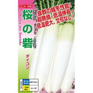 ダイコンの種 桜の砦 1000粒 ( 野菜の種 )