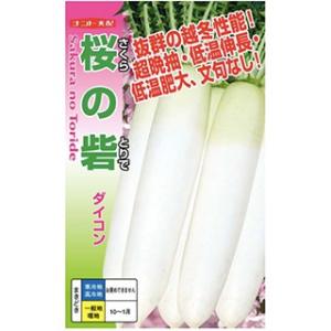 大根の種 桜の砦 小袋 ( 野菜の種 )