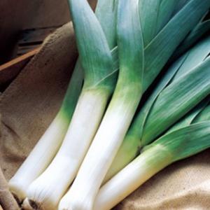 リーキの種 ポワロ 小袋（8ml） ( 野菜の種 )