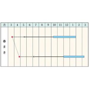 リーキの種 ポワロ 小袋(8ml) ( 野菜の種 )の詳細画像1