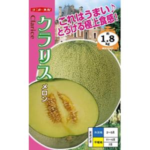 メロンの種 クラリス 小袋(5粒)の商品画像