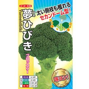 ブロッコリーの種 夢ひびき ペレット5千粒 ( 野菜の種 )｜saien-club