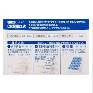 白菜の種 CRお黄にいり ペレット100粒 (...の詳細画像1