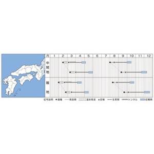 白菜の種 CRお黄にいり 20ml ( 野菜の種 )の詳細画像1