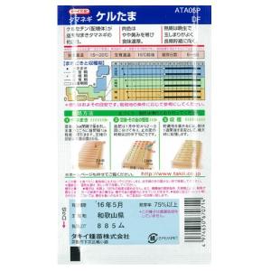 たまねぎの種 ケルたま DF 小袋 (約5.5...の詳細画像1