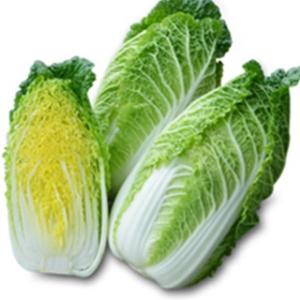 ハクサイの種 ミニ頼黄５０ 小袋（0．6ml） ( 野菜の種 )