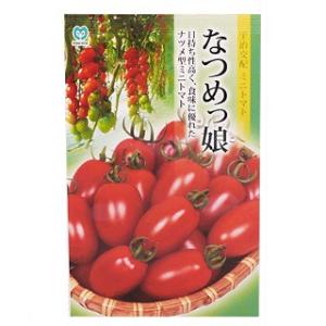 非売品 タキイ タキットくん 桃太郎トマト ぬいぐるみ 懸賞当選品