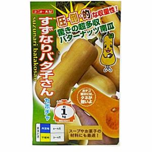 カボチャ 種 すずなりバタ子さん 小袋（6粒）