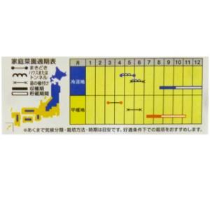 カボチャ 種 すずなりバタ子さん 小袋(6粒)の詳細画像1