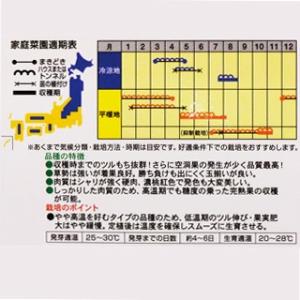 スイカの種 羅皇(らおう) 小袋(7粒)の詳細画像1