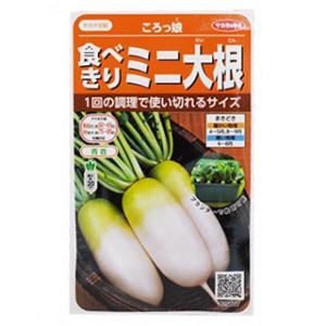 冬扇シオン コート6000粒 サカタのタネ ネギ種 メーカー直送 : ネギ